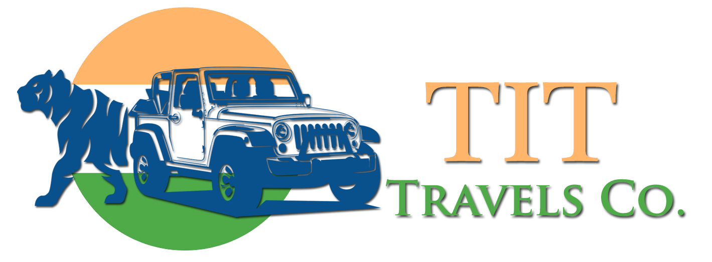 Logo
